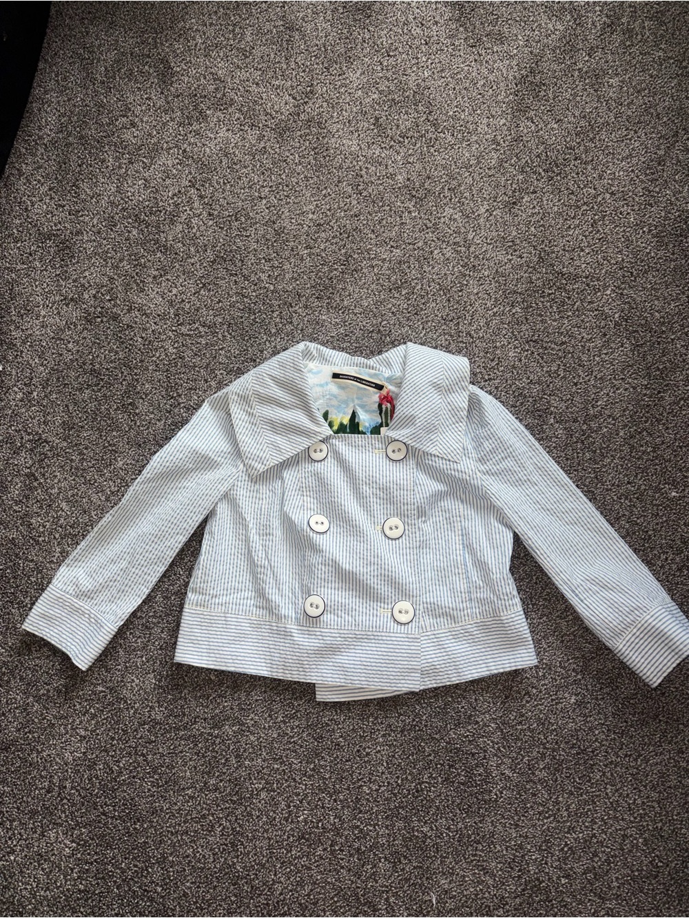 Anthropologie Light Blue & White Striped Double-Breasted Blazer